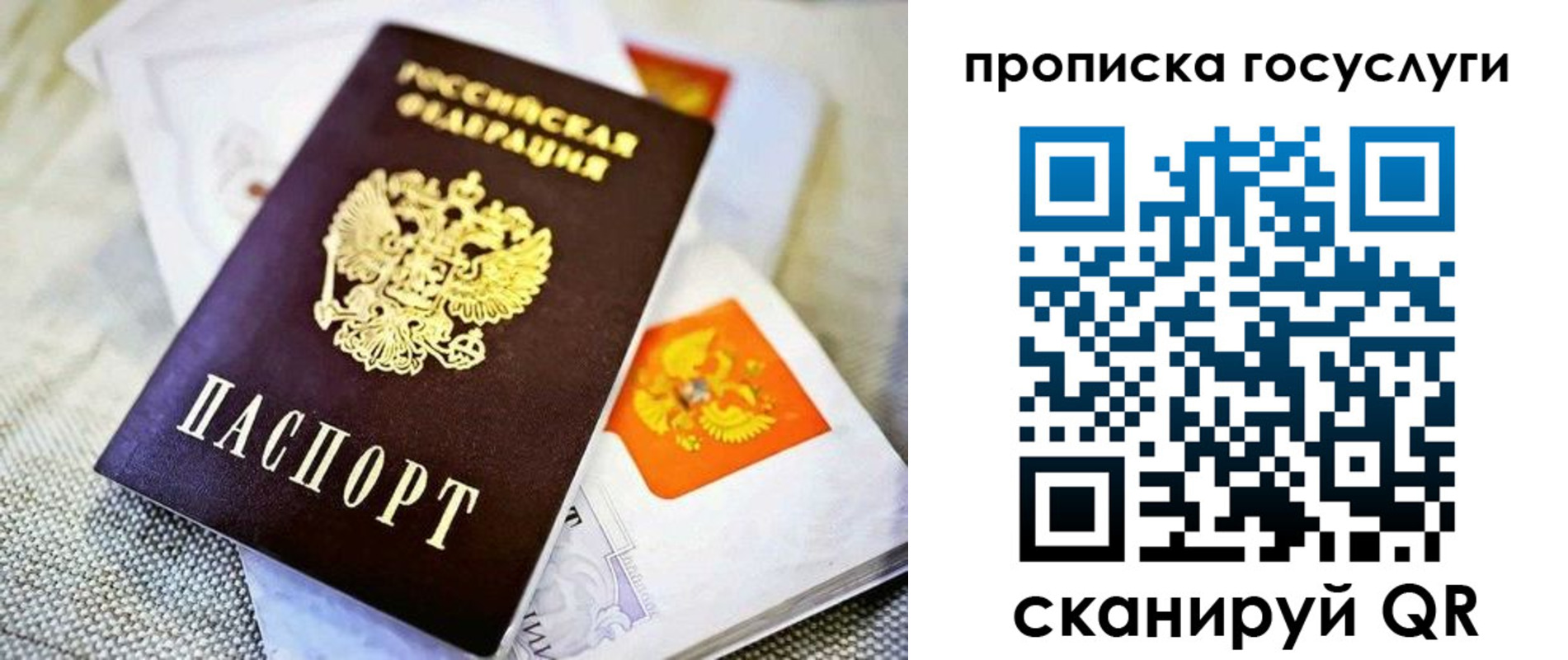 прописка 2025 в Люберцах